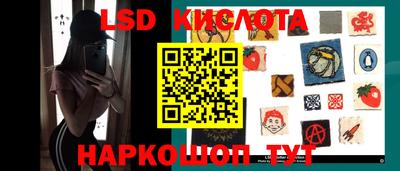 прущие грибы Апрелевка