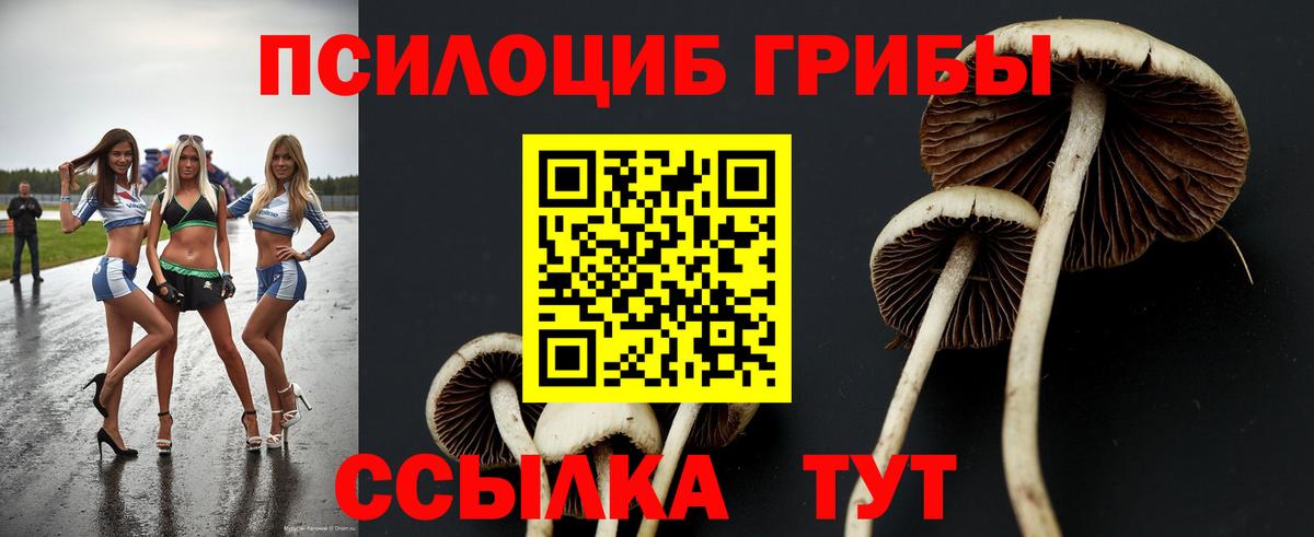 Галлюциногенные грибы прущие грибы  Вход с VPN  Апрелевка 